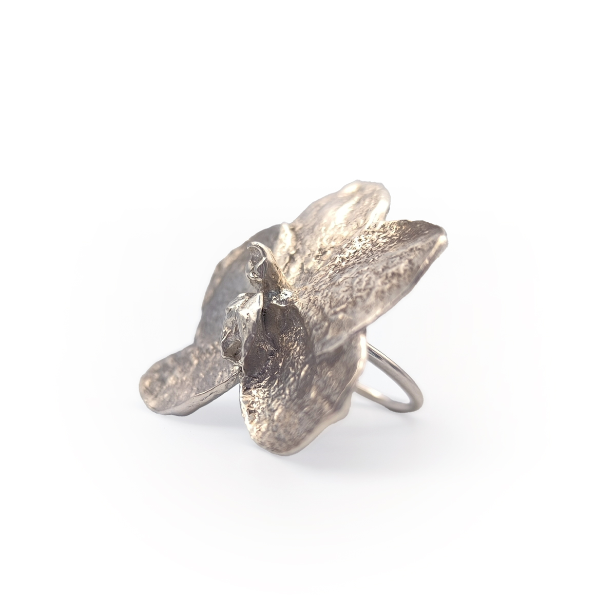 Anillo Phalaenopsis