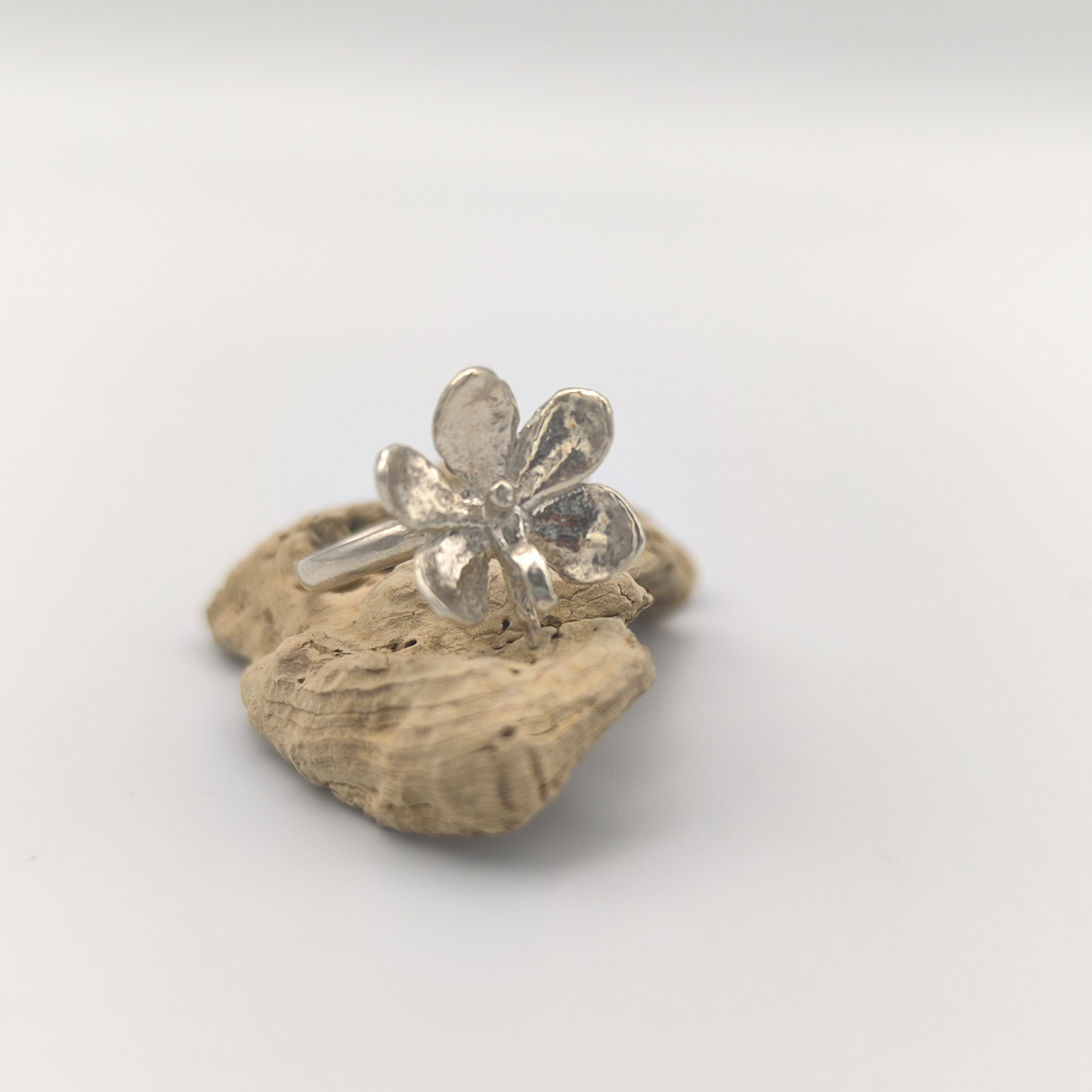 Anillo Ascocentrum garayi - Imagen 2