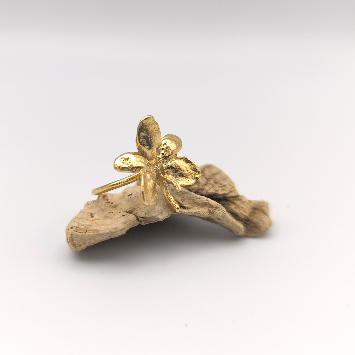 Anillo Ascocentrum garayi - Imagen 2