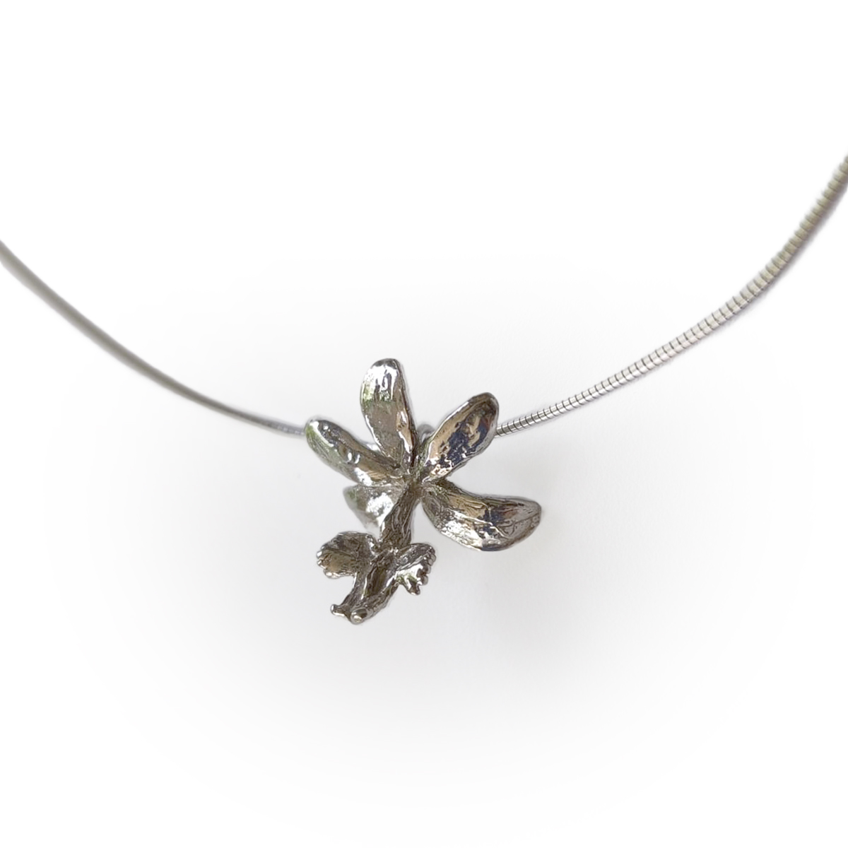 Collar Epidendrum