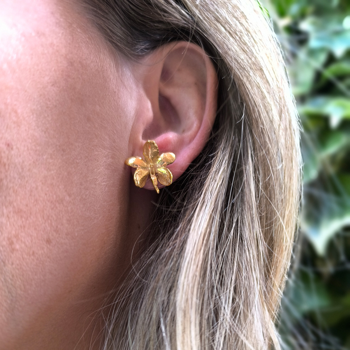 Pendientes Ascocentrum garayi (II) - Imagen 2