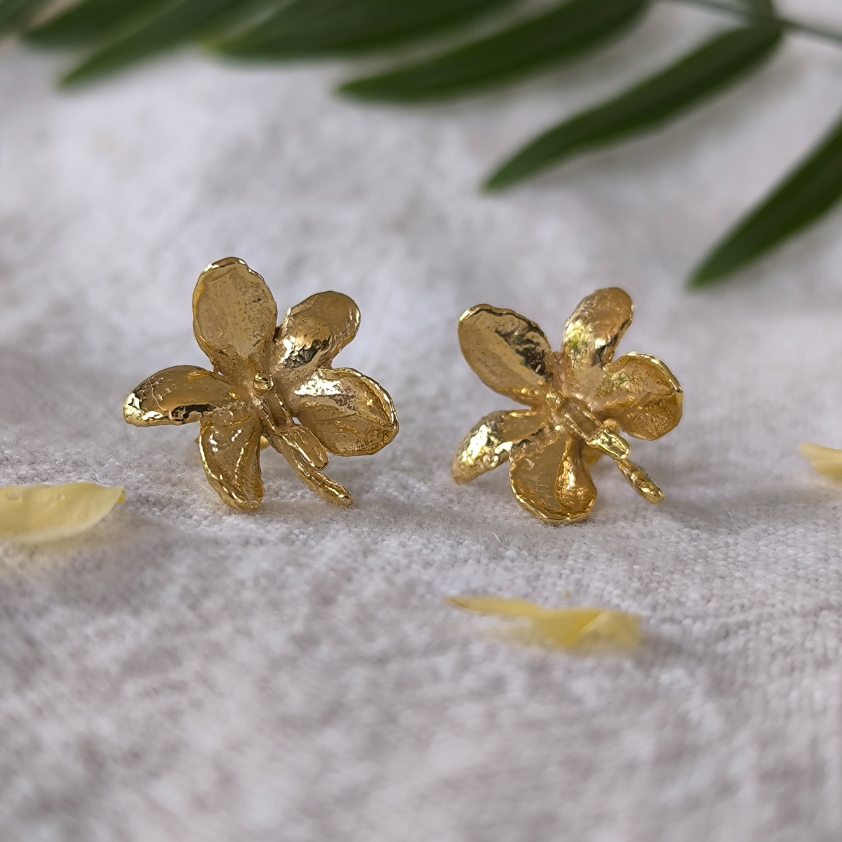 Pendientes Ascocentrum garayi (II) - Imagen 4