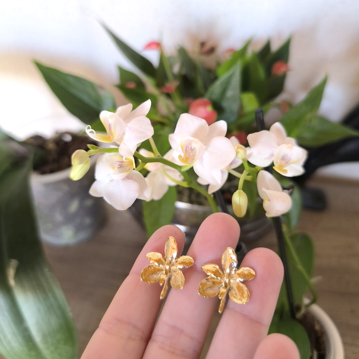 Pendientes Ascocentrum garayi (II) - Imagen 3