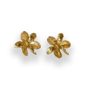 Pendientes-AG-2-OR-Destacat Pendientes Ascocentrum garayi (II)