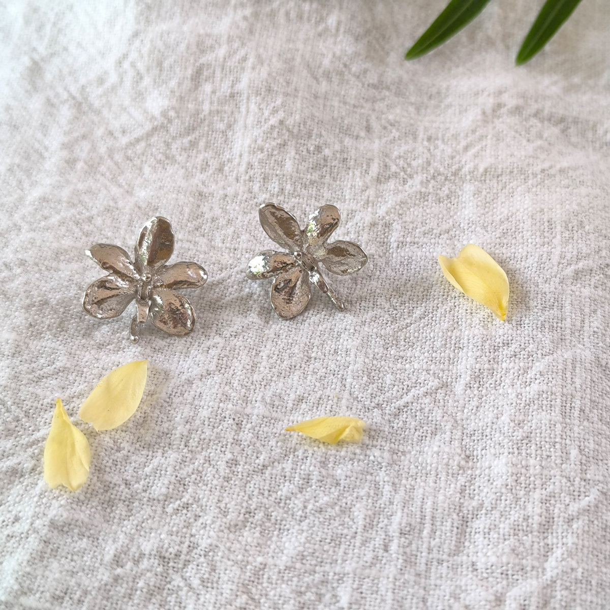 Pendientes Ascocentrum garayi (II) - Imagen 6